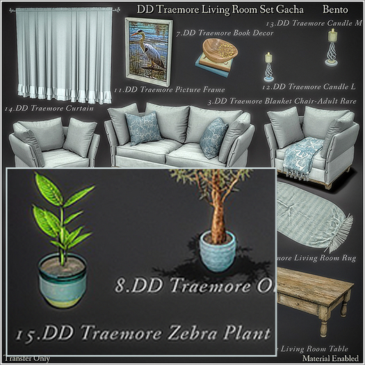 15.DD Traemore Zebra Plant/Boxed