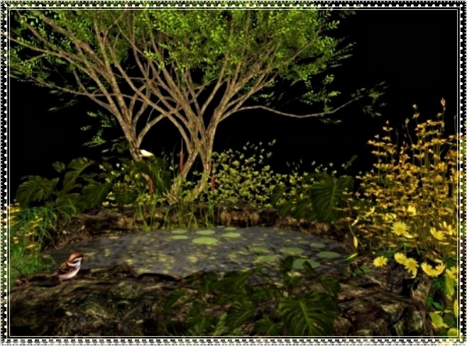 Motion & Leaves-Undisturbed Pond