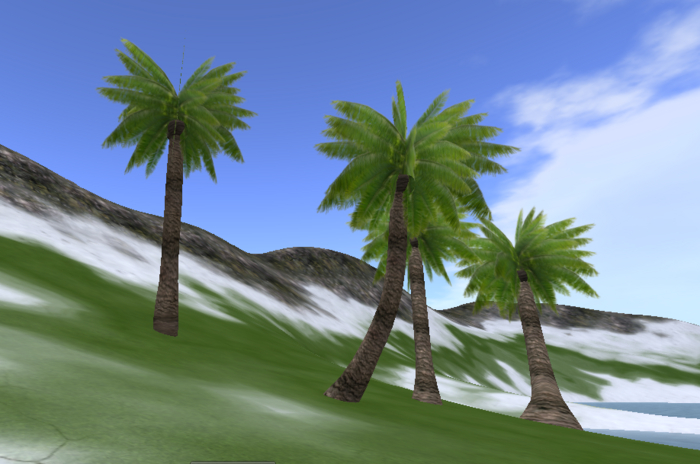 Tropical Palm Tree HC
