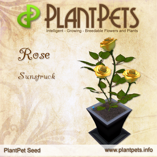 PlantPet Seed [Rose *Sunstruck*] RARE