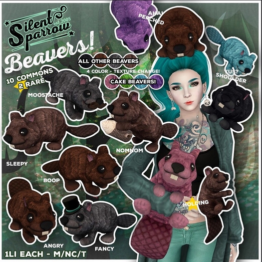 ~silentsparrow~ Beaver - Sleepy 