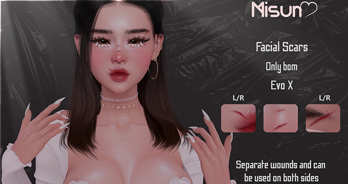 [*Misun*] Facial Scars  EVO X