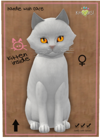 KittyCatS Box - Russian - White