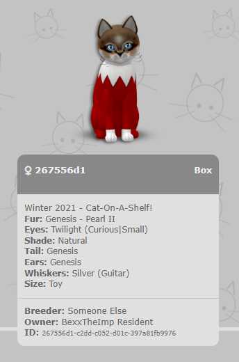 KittyCatS Box - Winter 2021 - Cat-On-A-Shelf! - 267556d1