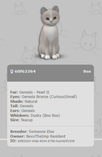 KittyCatS Box - Genesis - Pearl II - 60f62264