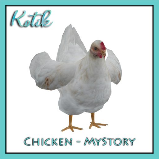 MyStory Chicken x 25