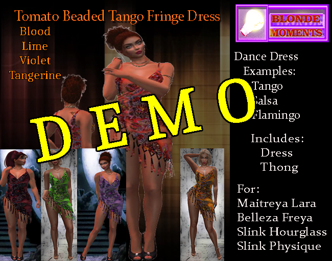 Demo BloMo Beaded Tango Fringe Dress