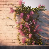 flowers on walls series 1 (3)