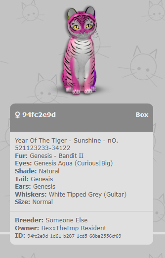 KittyCats Box - Year Of The Tiger - Sunshine - 94fc2e9d