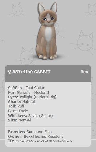 KittyCatS Box - CaBBits - Teal Collar - 857c4fb0