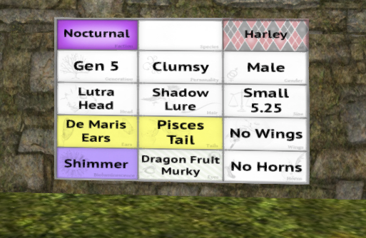 Meeroo Nest - 8559697 - Quinn - Harley Clumsy Male