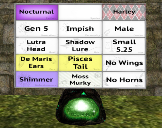 Meeroo Nest - 8557563 - Quinn - Harley Impish Male