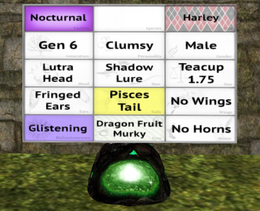 Meeroo Nest - 8570630 - Quinn - Harley Clumsy Male