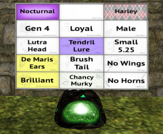 Meeroo Nest - 8551803 - Quinn - Harley Loyal Male