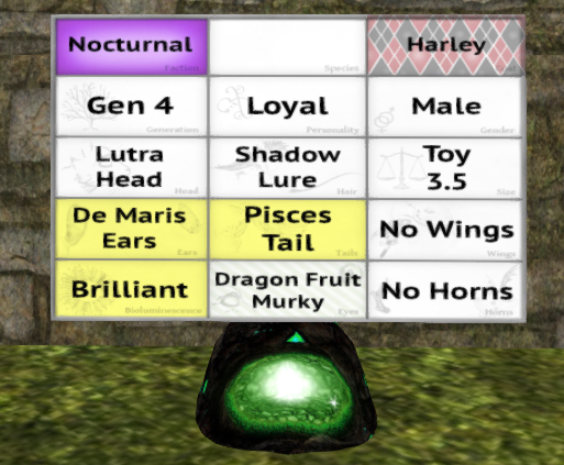 Meeroo Nest - 8555874 - Quinn - Harley Loyal Male