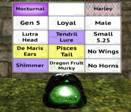 Meeroo Nest - 8560983 - Quinn - Harley Loyal Male