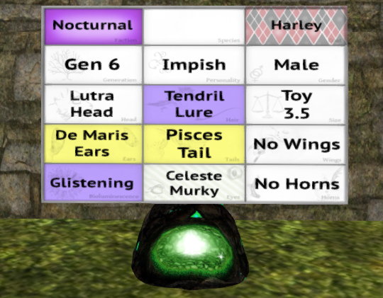 Meeroo Nest - 8564307 - Quinn - Harley Impish Male