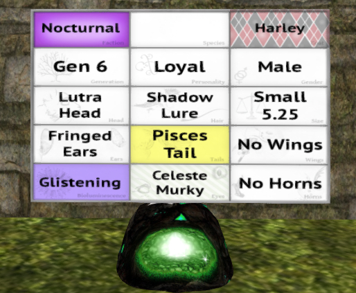 Meeroo Nest - 8565361 - Quinn - Harley Loyal Male