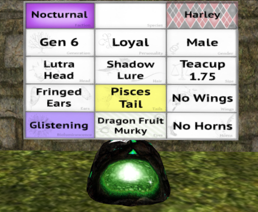 Meeroo Nest - 8566418 - Quinn - Harley Loyal Male