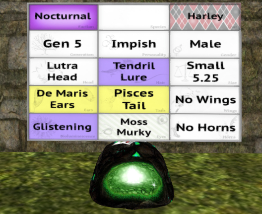 Meeroo Nest - 8568214 - Quinn - Harley Impish Male