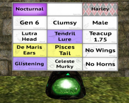 Meeroo Nest - 8568474 - Quinn - Harley Clumsy Male