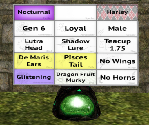 Meeroo Nest - 8576016 - Quinn - Harley Loyal Male