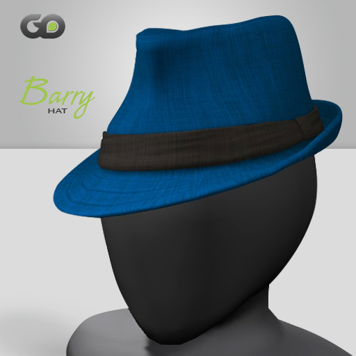 [GD] Barry Hat - Blue