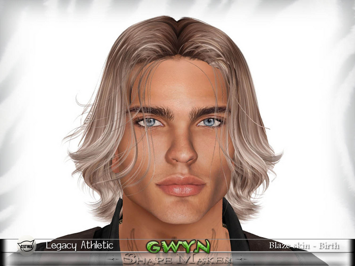 ++SHAPE MAKER++"GWYN SHAPE"