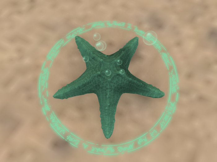 {Papillon} Starfish-Tier°3 Tiny/Normal,〘Cranky Type-A〙