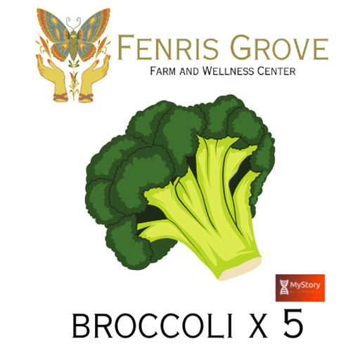MyStory Broccoli x 5