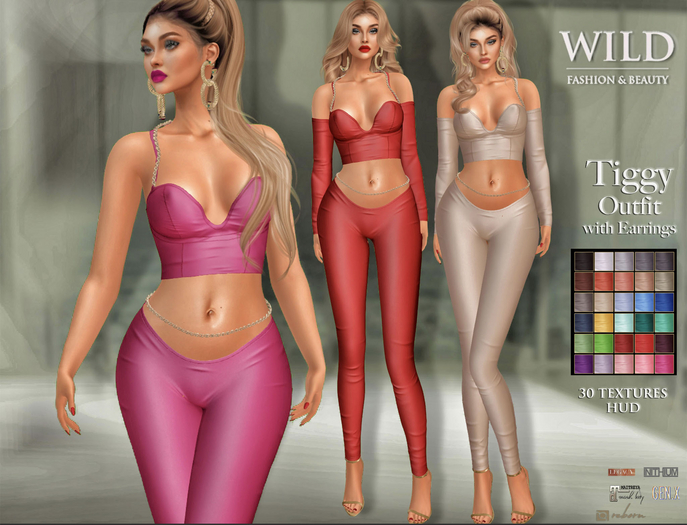 :::WILD:::Fashion Tiggy Outfit