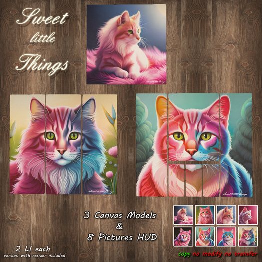 *Sweet Little Things*  Cats Canvas Multi Pack 