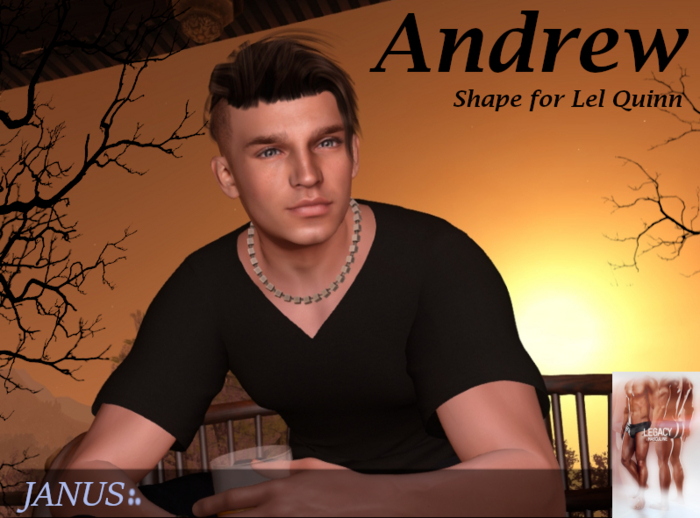 JANUS:. ANDREW (LeL Quinn)