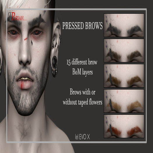 .:.Pariah.:. Pressed Brows Male