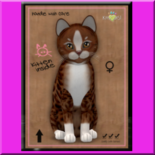 KittyCatS Box - LED 2