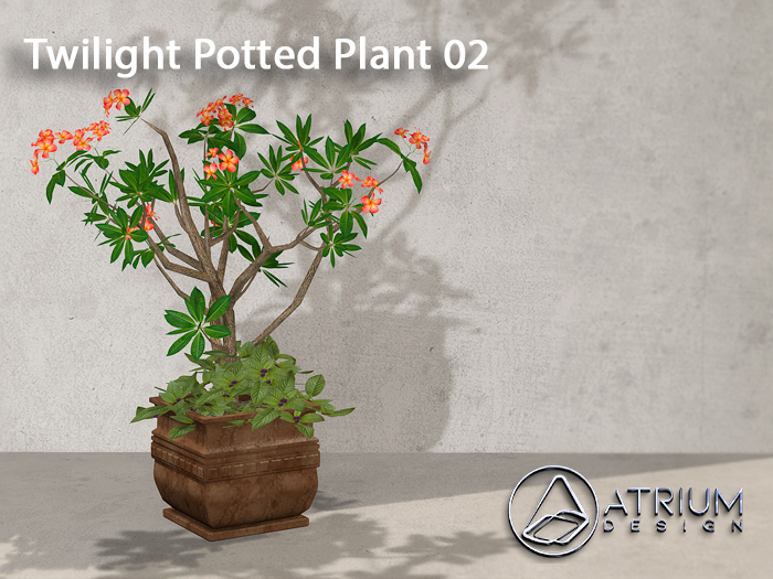 Atrium Twilight Potted Plant 02