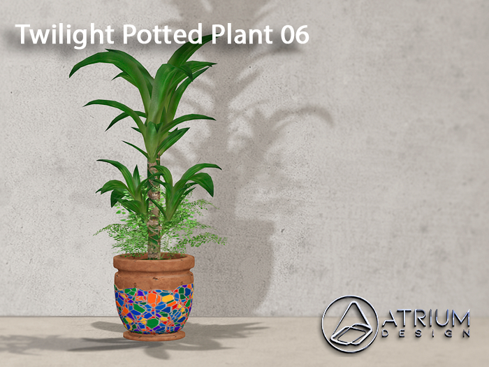 Atrium Twilight Potted Plant 06 boxed