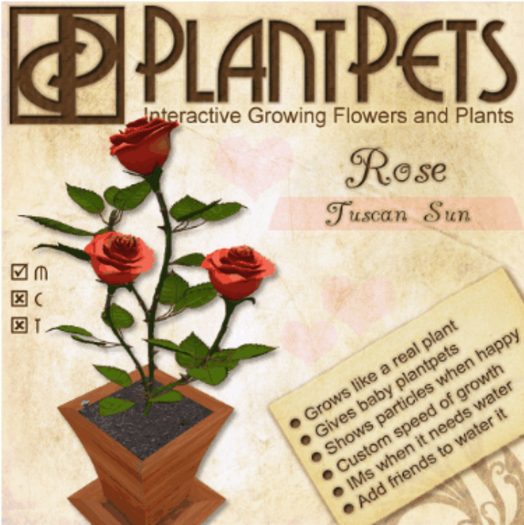 PlantPet Seed [Rose *Tuscan Sun*]