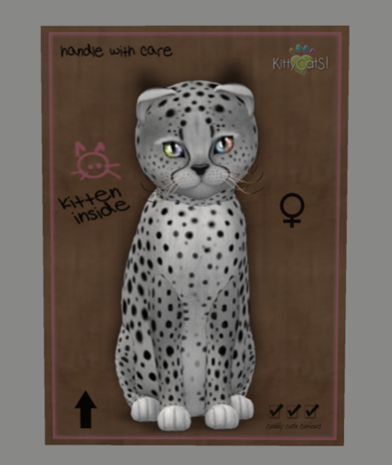 KittyCats Box - Cheetah! - Silver - Size - Normal