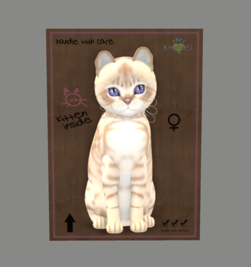 KittyCatS Box - Australian Mist - Fawn - Size - Normal