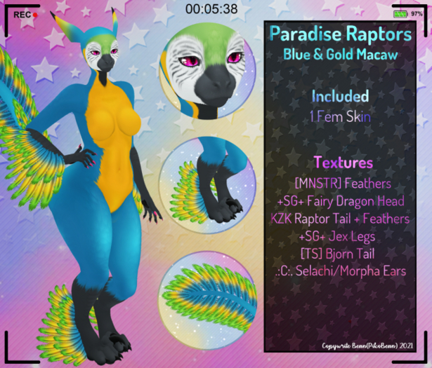 [AB!] - Paradise Raptors - Blue&Gold Macaw
