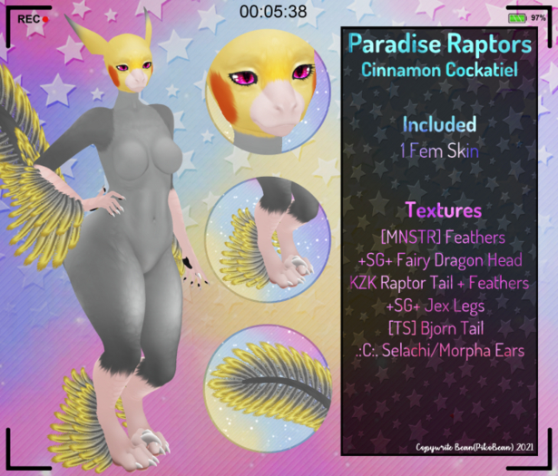 [AB!] - Paradise Raptors - Cinnamon Cockatiel