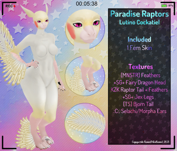 [AB!] - Paradise Raptors - Lutino Cockatiel
