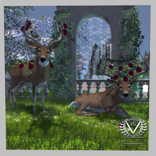 Spring Harbinger Roses  Set 