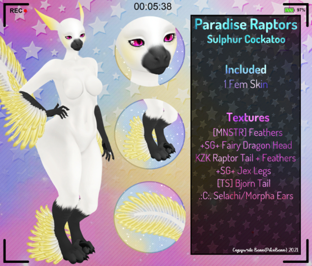 [AB!] - Paradise Raptors - Sulphur Cockatoo