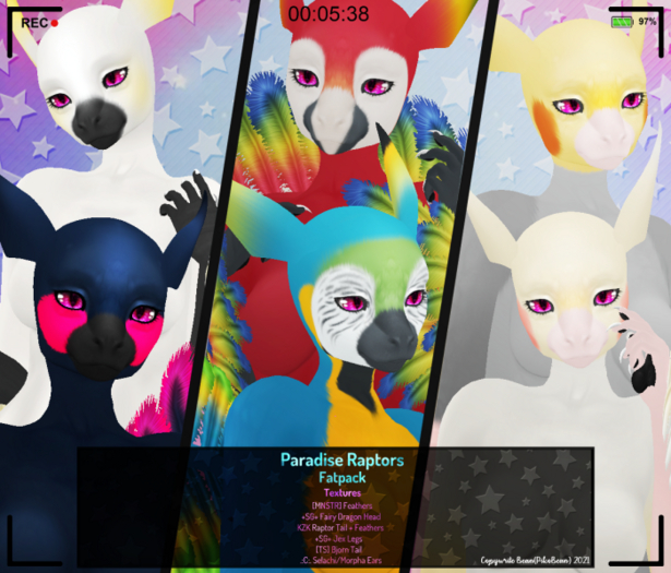 [AB!] - Paradise Raptors - Fatpack