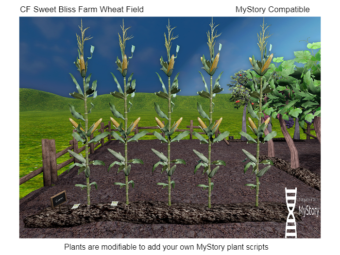 CF Corn Field boxed (wear & touch) MyStory Compatible