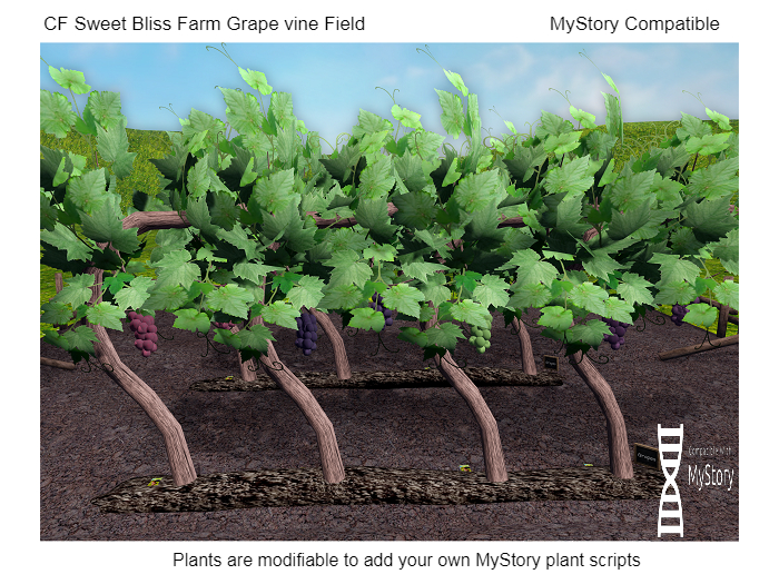 CF Grape Field boxed (wear & touch) MyStory Compatible