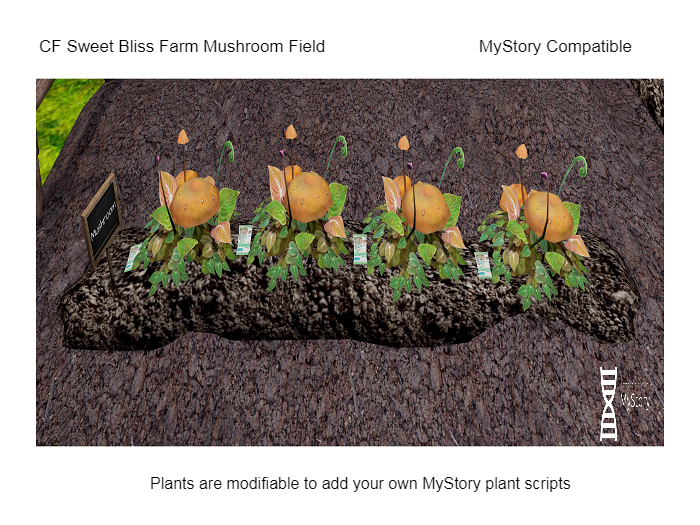 CF Mushroom Field boxed (wear & touch) MyStory Compatible