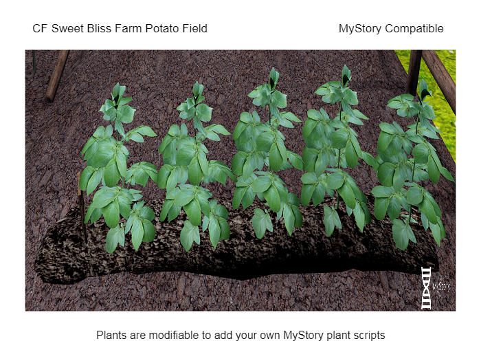 CF Potato Field boxed (wear & touch) MyStory Compatible